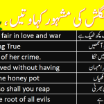 40 Most Commonly Used English Proverbs With Urdu And Hindi Meanings