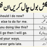 100 English to Urdu Sentences with Urdu and Hindi Translation