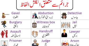 Crimes and Court Vocabulary Words list With Urdu Meanings