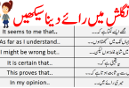 Common English Phrases For Giving Opinion and Fact in Urdu