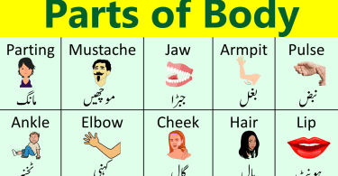 Parts of Body Names in English with Urdu Meanings