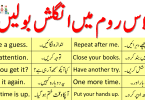 55 Classroom Sentences in English with Urdu Translation