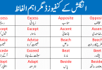 100 List Of important Pair Of Words With Urdu And Hindi Meanings