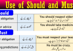 Use of Should and Must in English with Example Sentences