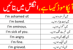 Daily Used English Sentences to Describe Mood and Feeling in Urdu