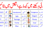 Common Adjectives list in English to Describe People In Urdu