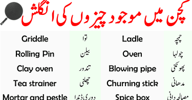 Kitchen Vocabulary Words with Urdu and Hindi Meanings
