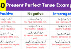 150 Example Sentences For Present Perfect Tense With Urdu Translation