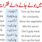 45 Daily Use Sentences for Kitchen with Urdu and Hindi Translation