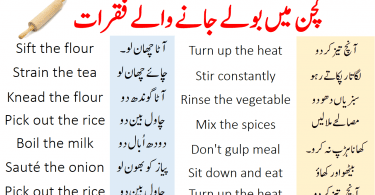 45 Daily Use Sentences for Kitchen with Urdu and Hindi Translation