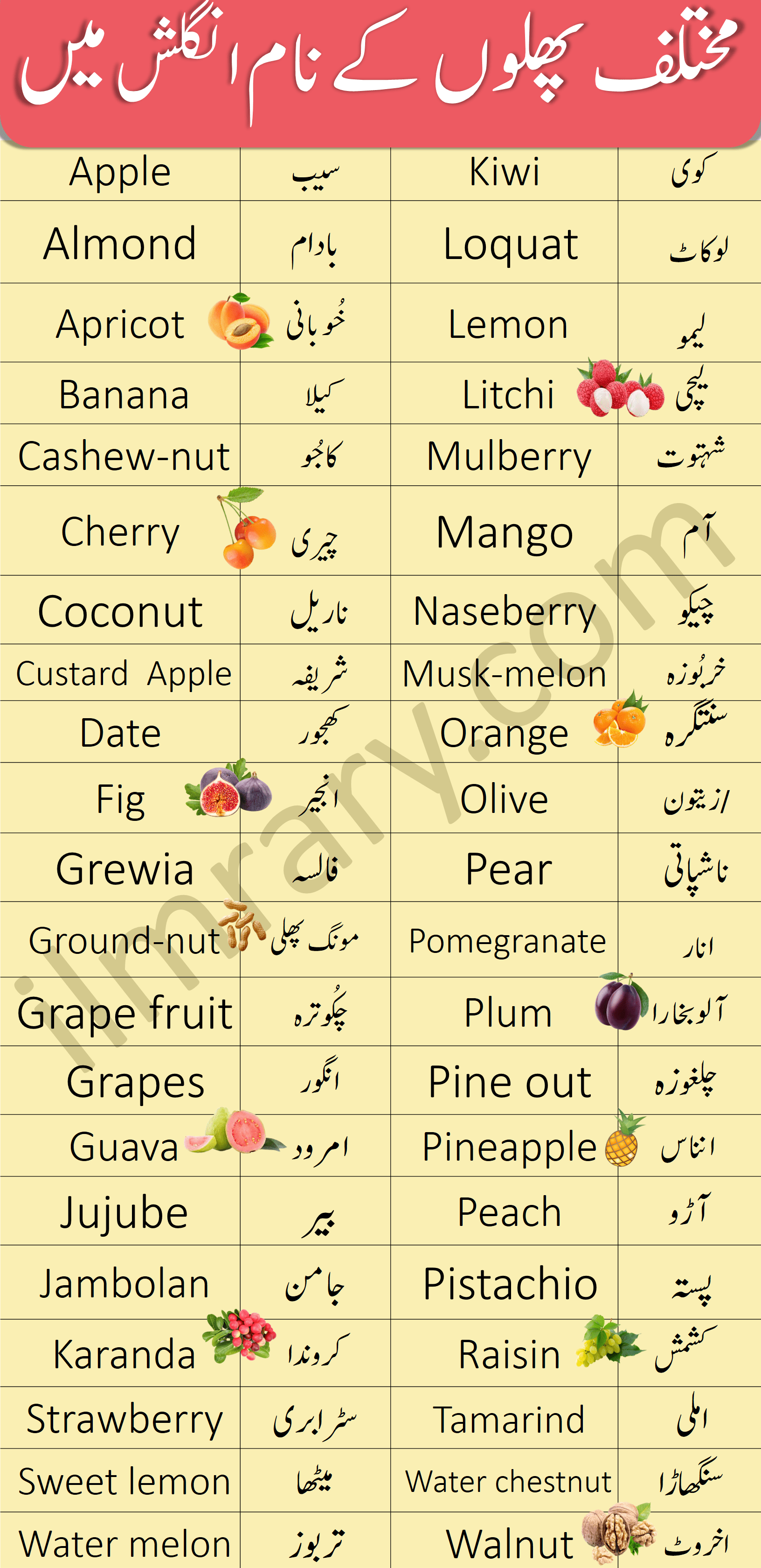 Fruits Names Vocabulary in English with Urdu Meanings
