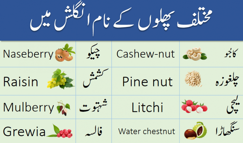 Fruits Names Vocabulary In English With Urdu Meanings Ilmrary