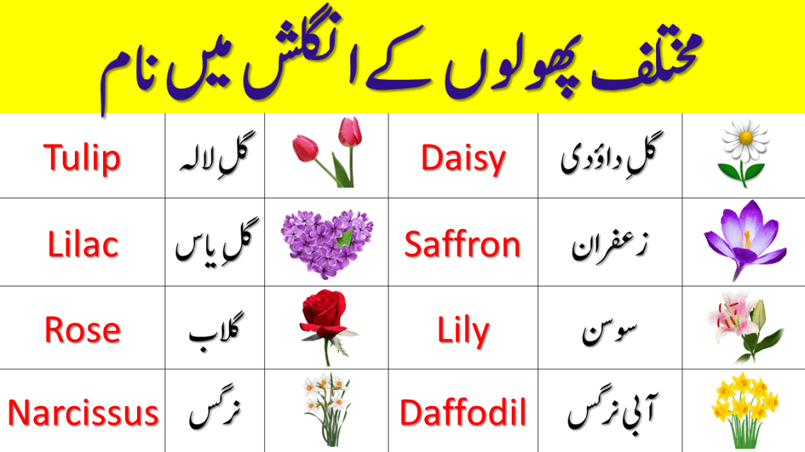 Flowers Names in English With Urdu Meaning