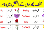 Flowers Names in English With Urdu Meaning