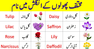 Flowers Names in English With Urdu Meaning