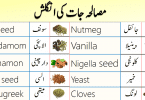 Spices and Herbs Names in English with Urdu Meanings