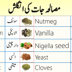 Spices and Herbs Names in English with Urdu Meanings