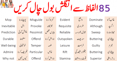 85 Basic English Vocabulary Words with Urdu Meanings
