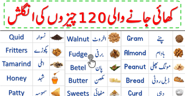 List of Food Names in English with Urdu Meanings | Food Vocabulary