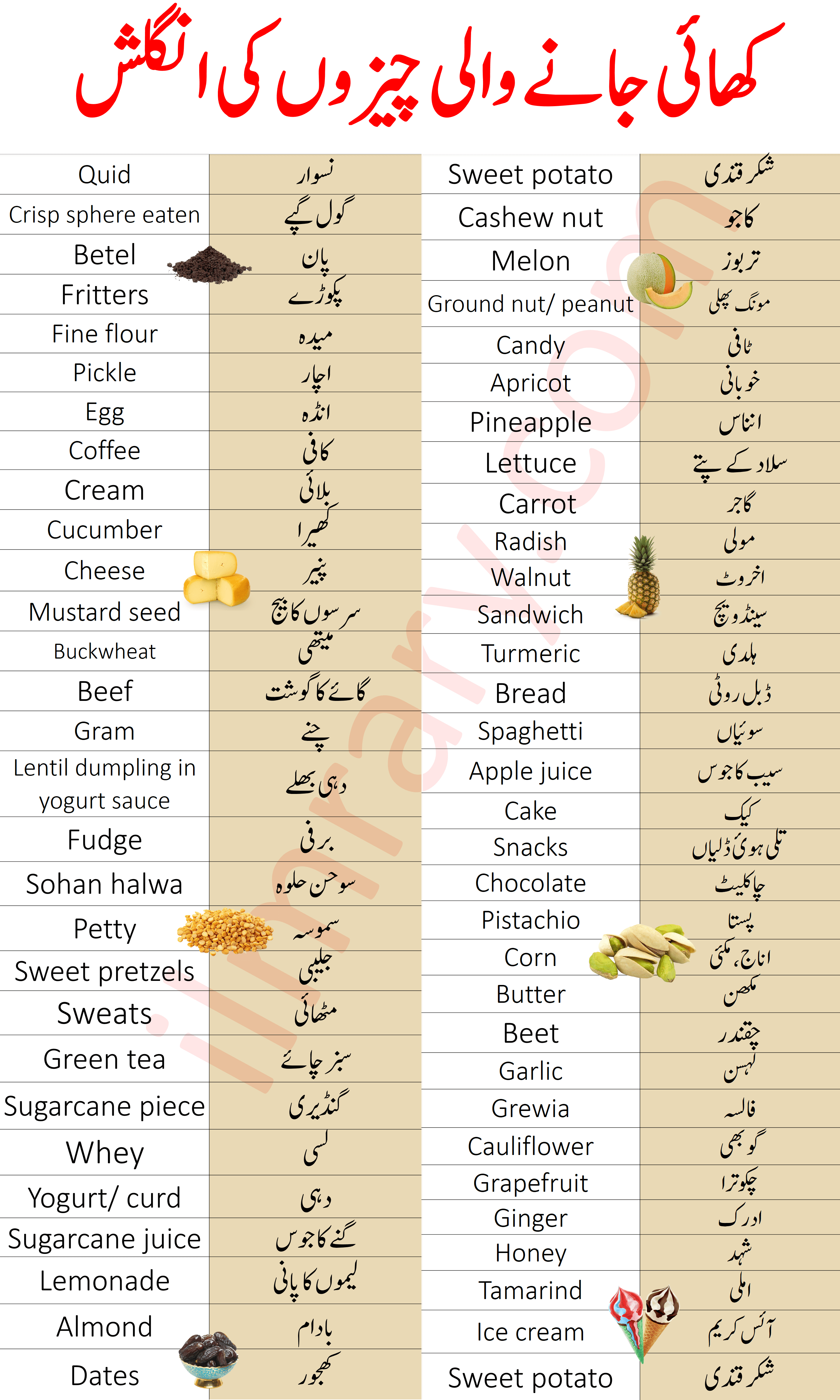 List of Food Names in English with Urdu Meaning