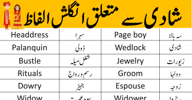 Daily Use English Vocabulary for Wedding in Urdu With PDF