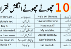 1000 Daily Use Short English Sentences with Urdu Translation PDF