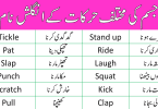 English Vocabulary for Body Movements with Urdu Meanings