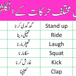 English Vocabulary for Body Movements with Urdu Meanings
