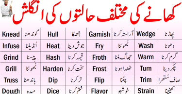150+Cooking Terms Vocabulary in English Urdu Meanings