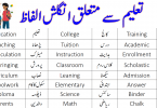 60 Vocabulary Words For Education with Urdu Meanings