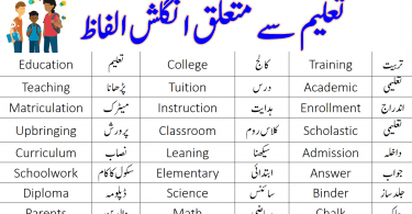 60 Vocabulary Words For Education with Urdu Meanings