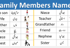 Family Members Vocabulary with Urdu Meanings
