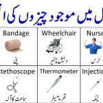 Medical and Hospital English Vocabulary with Urdu Meanings