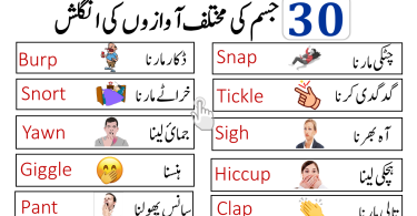 Body Sounds and Noises Vocabulary with Urdu Meanings