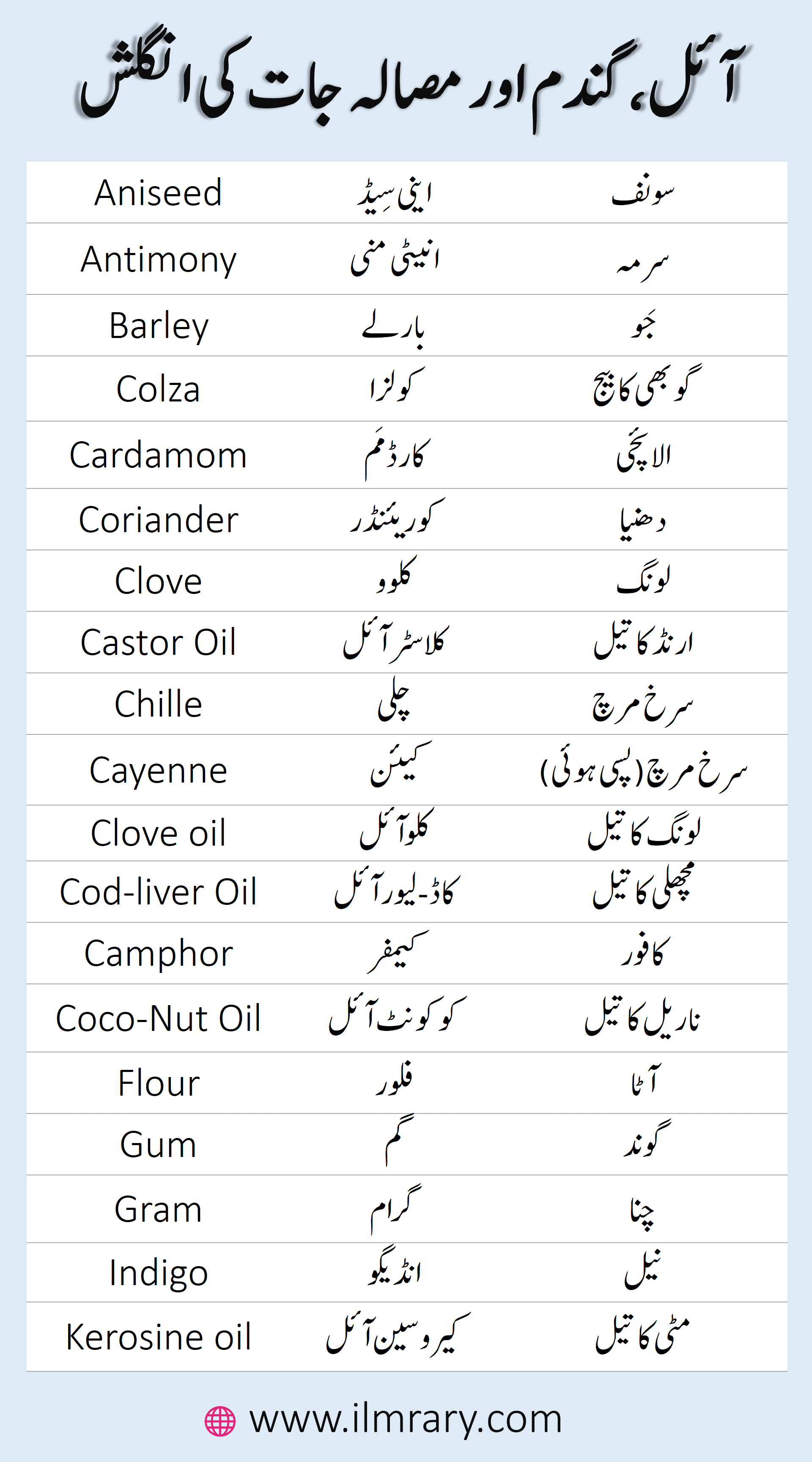 Vocabulary for Corns, Spices and Oil in English with Urdu Meanings