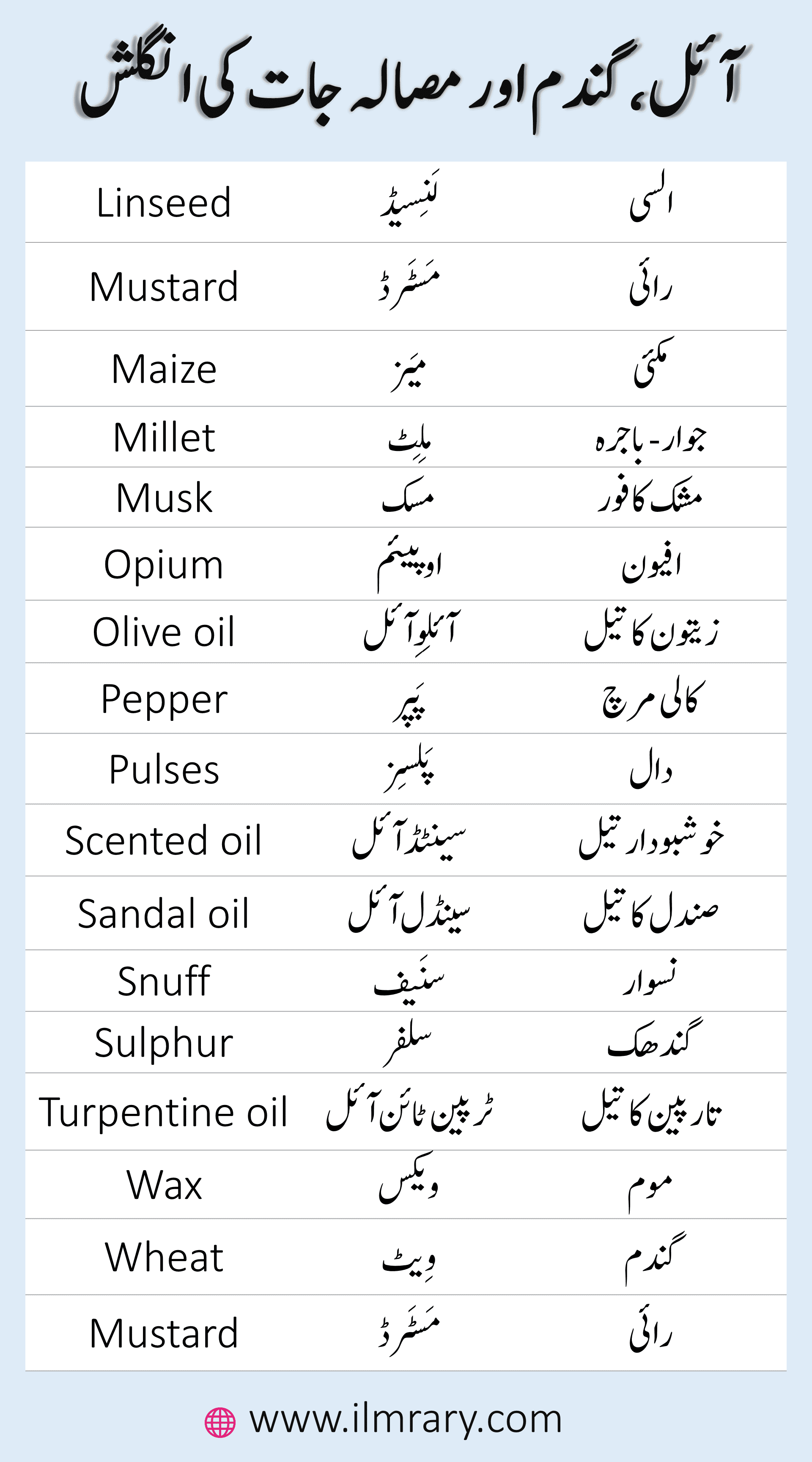 Vocabulary for Corns, Spices and Oil in English with Urdu Meanings