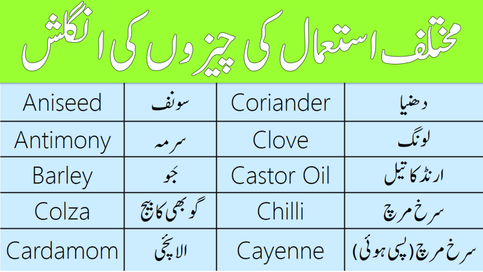 Vocabulary for Corns, Spices and Oil in English with Urdu Meanings