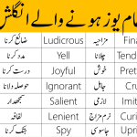 55 Basic English Vocabulary Words with Urdu Meanings