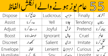 55 Basic English Vocabulary Words with Urdu Meanings