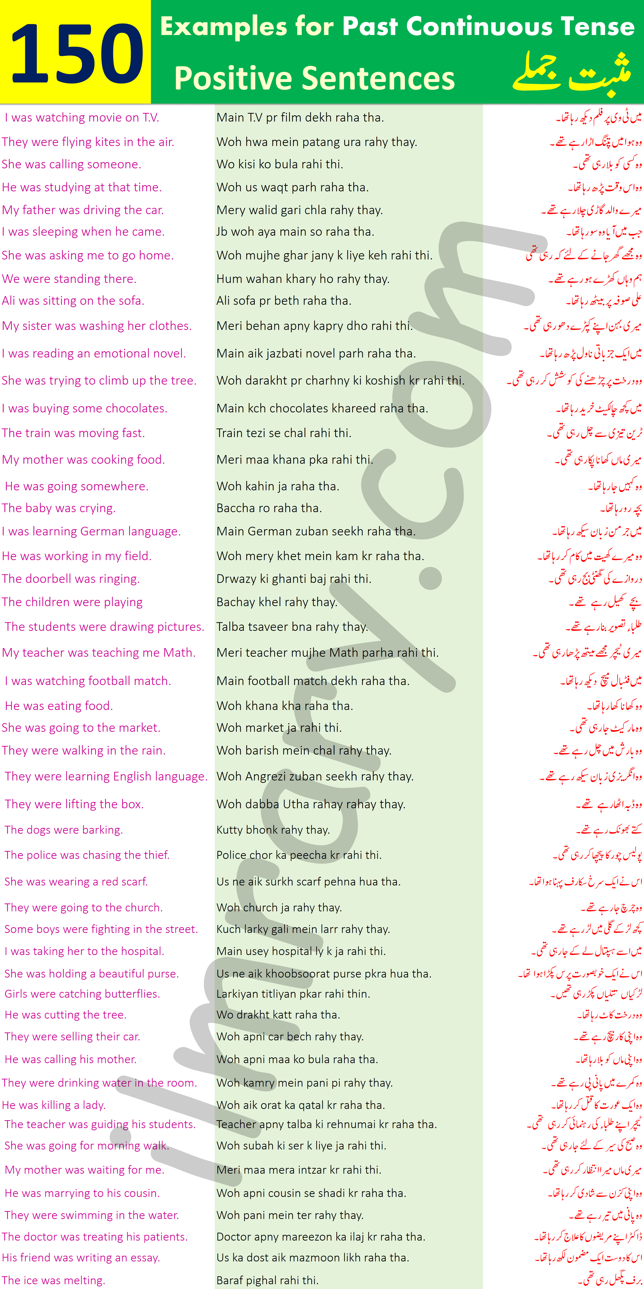 Positive Sentences for Past Continuous Tense with Urdu Translation 