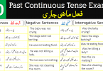 150 Example Sentences for Past Continuous Tense with Urdu Translation