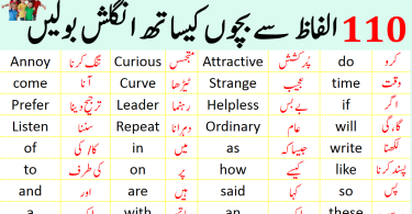 100 Basic English Vocabulary Words with Urdu Meaning