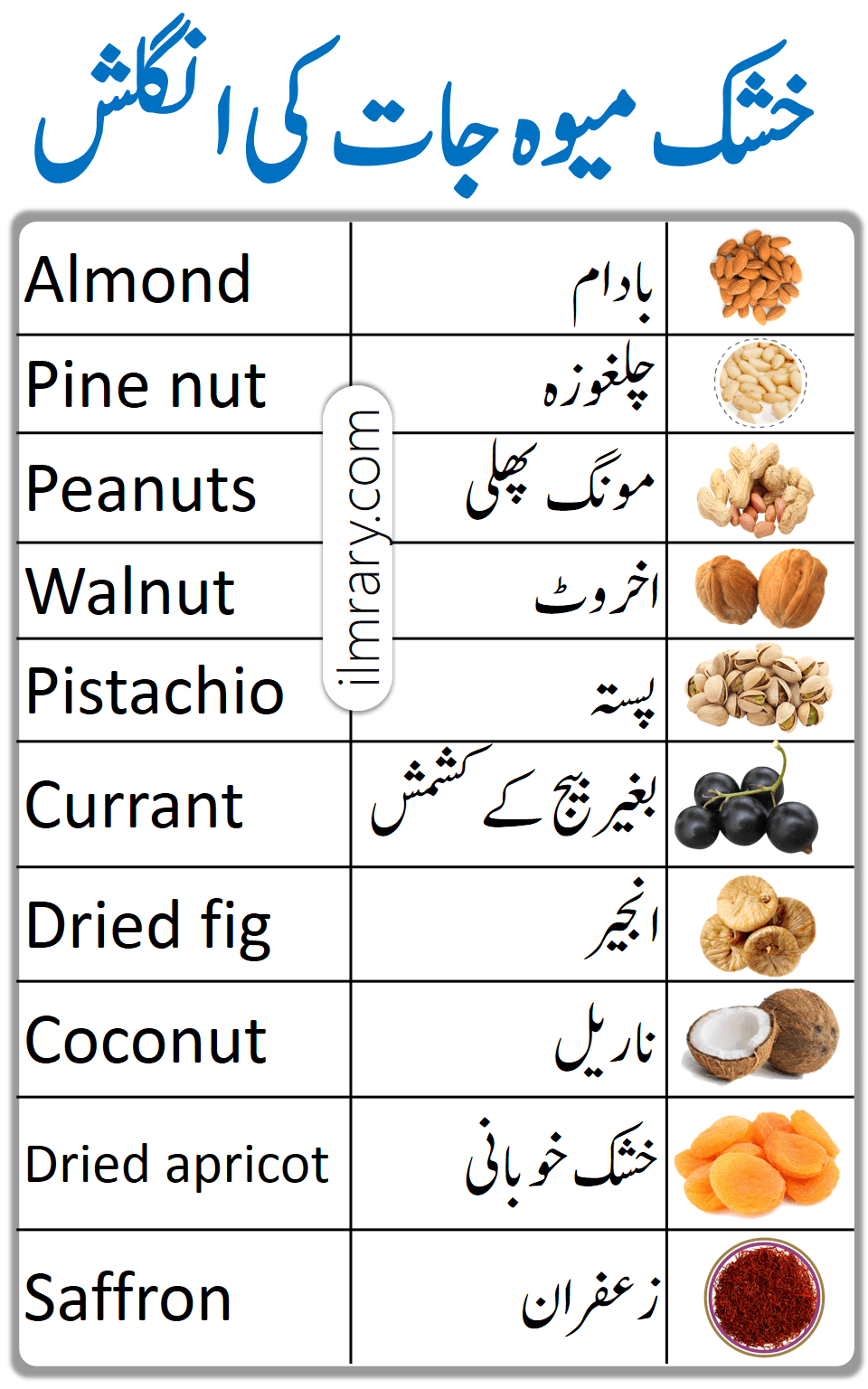 Dry Fruits Vocabulary in English with Urdu Meanings