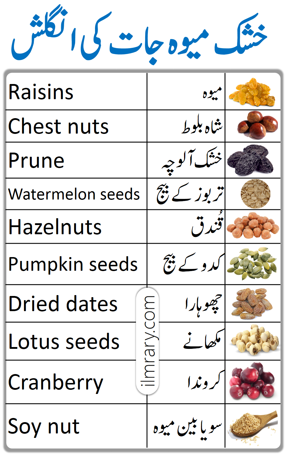 dry-fruits-vocabulary-in-english-with-urdu-meanings-ilmrary