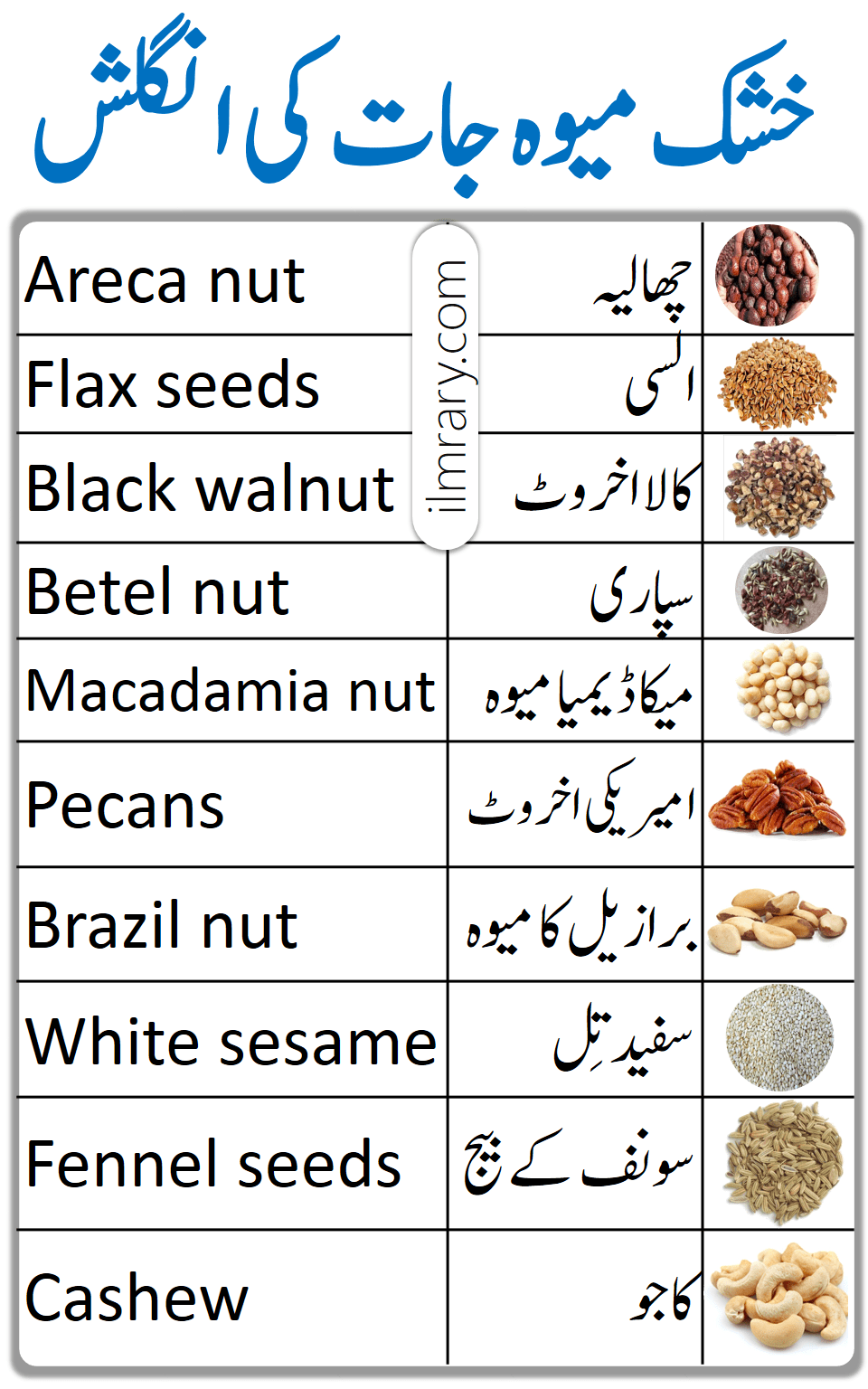 Dry Fruits Vocabulary in English with Urdu Meanings