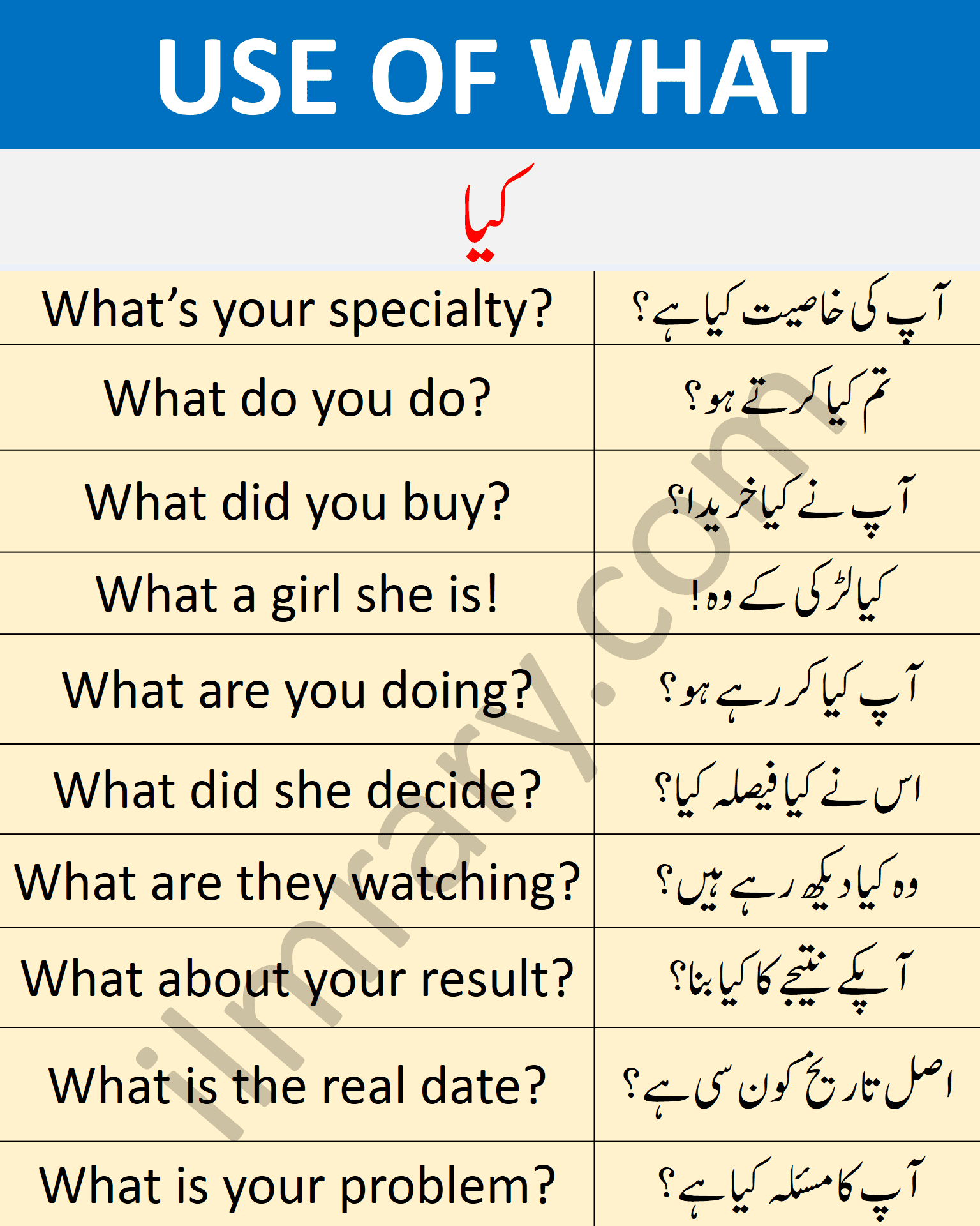 What WH QUestion Word Examples in Urdu