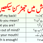 Scold Sentences in English with Urdu Translation