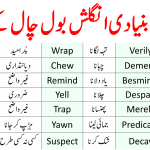 59 English Vocabulary Words for Beginners with Urdu Meanings