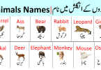 Animals Vocabulary List in English with Urdu Meanings PDF