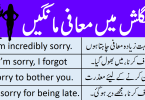 Different Ways to Say Sorry in English with Urdu Translation